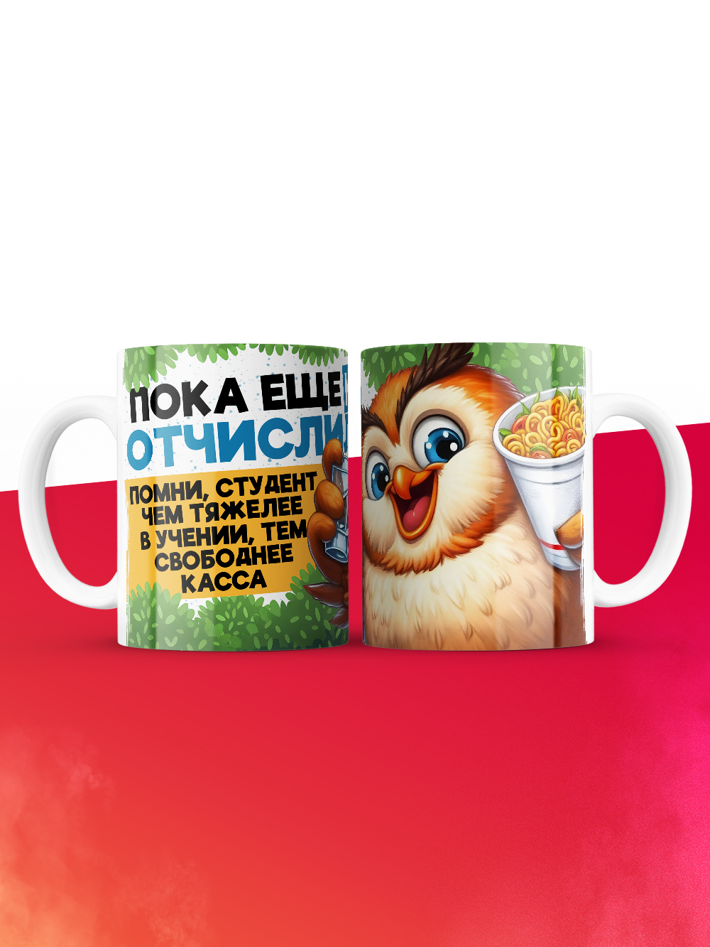 Кружка прикол для студента