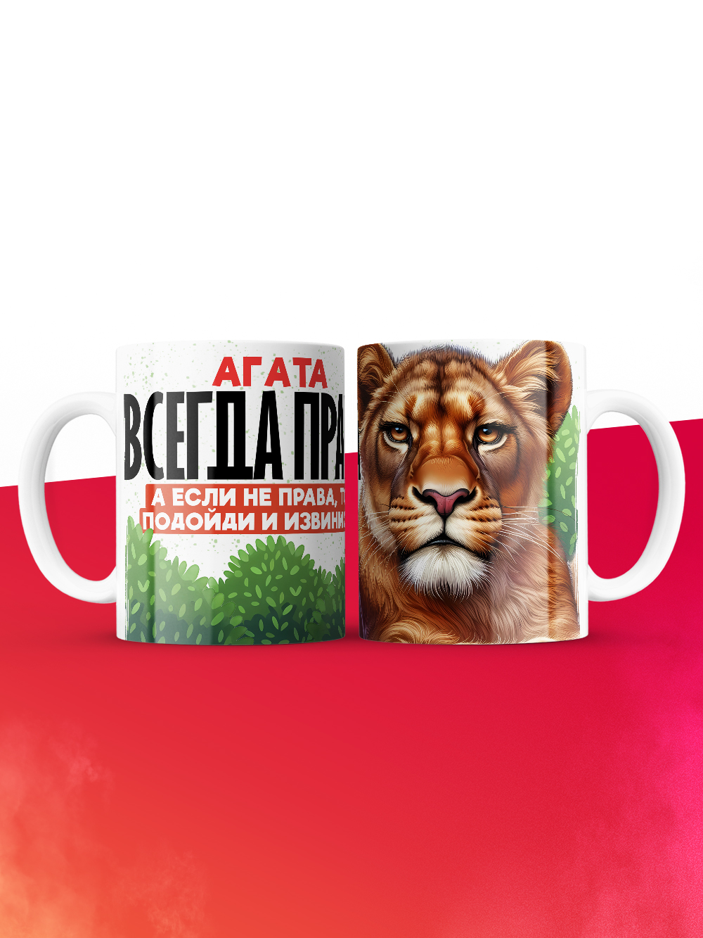 Кружка Агата всегда права